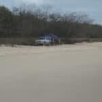 4WD's camping on turtle nesting habitat