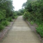 Bikeway Banksia Beach beside Sunderland Drive.  Maintained by MBRC.  CPTED compliant.