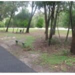 Fairweather Trail - after further culling in 2010