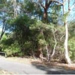 Fairweather Trail before January 2009